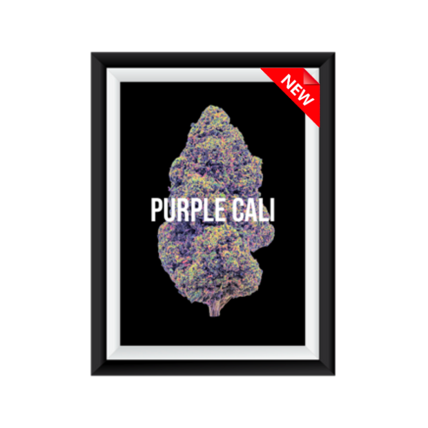 Purple Cali
